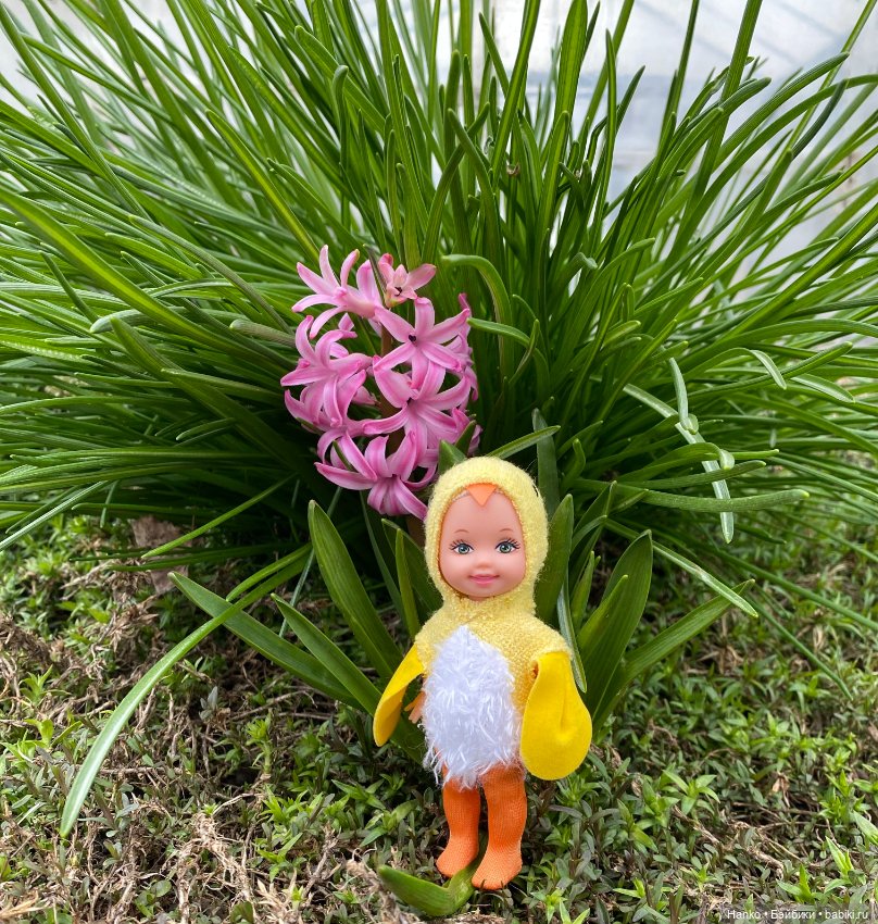 Келли цыплёнок — Куклы Kelly (Келли): Сестра Барби (фото 10)