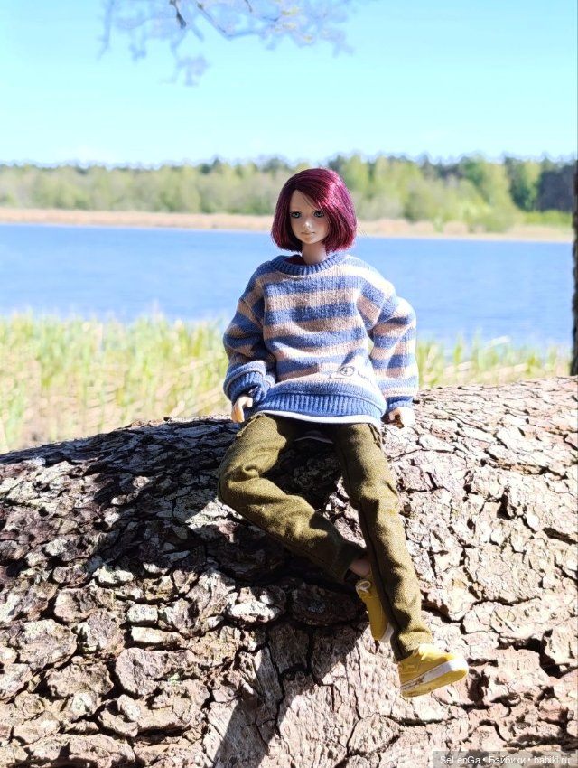 Арсений Ежевика — Куклы Momoko и Ruruko (Petworks (фото 9)