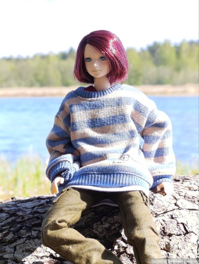 Арсений Ежевика — Куклы Momoko и Ruruko (Petworks (фото 10)