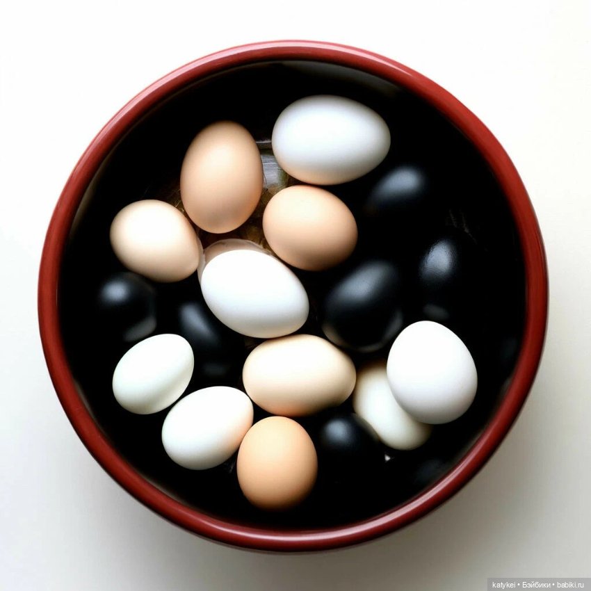 Кот и Кит. Компромисс — Фотоистории с куклами BJD (БЖД): сериалы