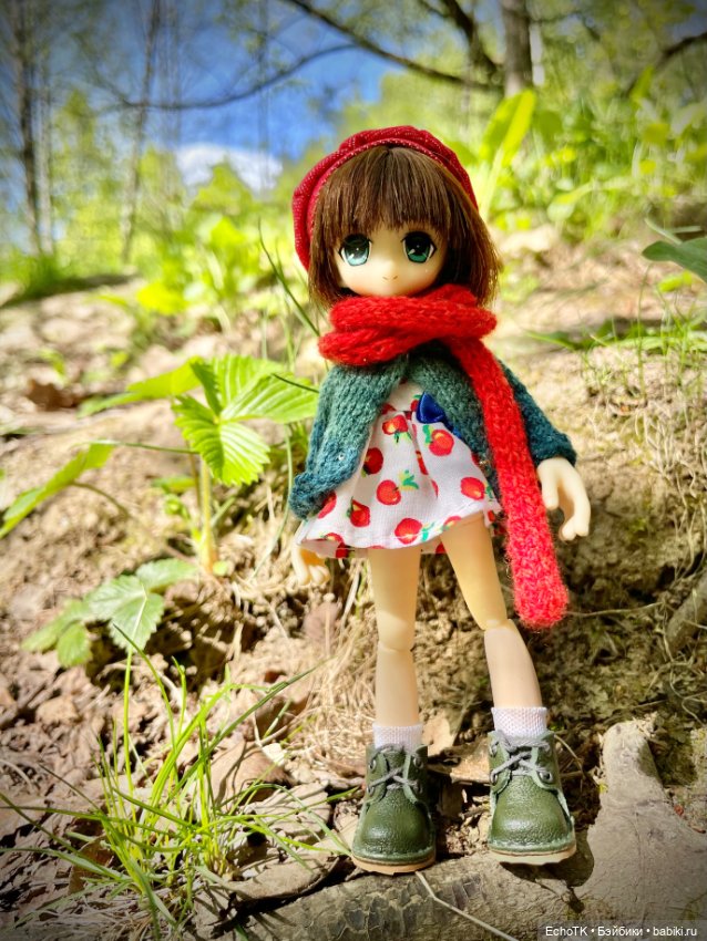 Куклы Azone (Азон) и тела Pure Neemo: фото (фото 10)