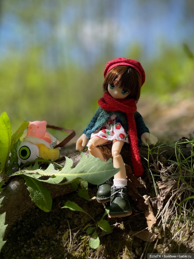 Куклы Azone (Азон) и тела Pure Neemo: фото