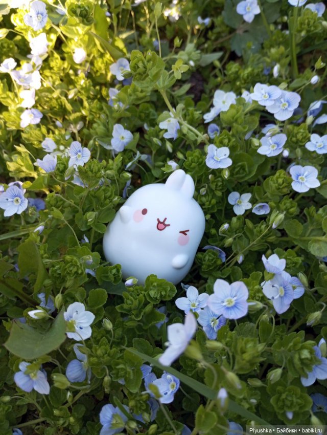 Весеннее, цветочное — Коллекции игровых кукол (Playline): фото полок