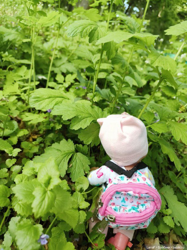 Весна, весна...Эльза вышла погулять! (Пепита pepita Antonio huan)