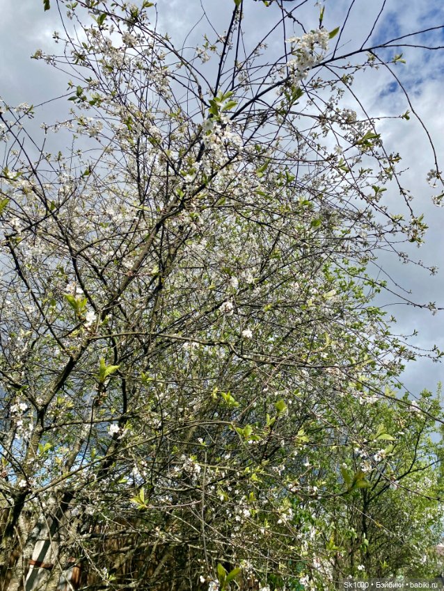 Прогуляемся с Poppy — Куклы Integrity Toys (Интегрити): Poppy Parker (фото 6)