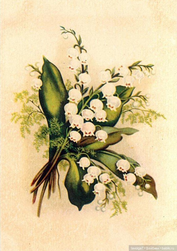 Май, ландыши, мода 1950х — Культура