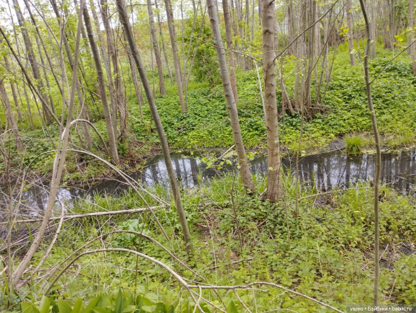 Посылки из за рубежа — Покупки