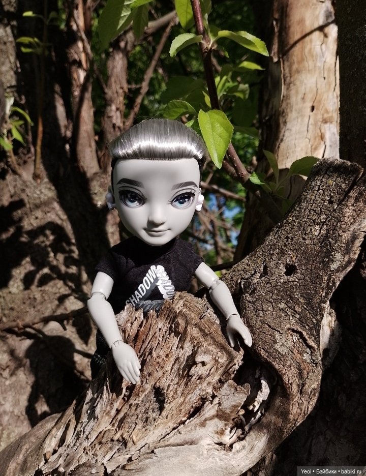 Эш Сильверстоун, Шедоу Хай (MGA , Shadow High) на прогулке)