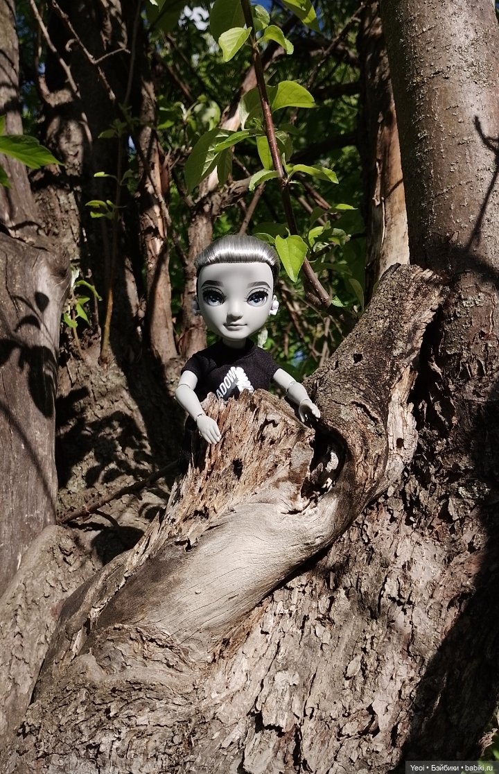 Эш Сильверстоун, Шедоу Хай (MGA , Shadow High) на прогулке)