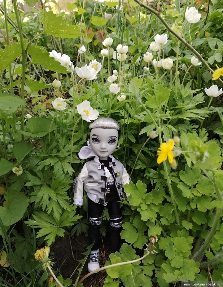 Эш Сильверстоун, Шедоу Хай (MGA , Shadow High) на прогулке) (фото 9)