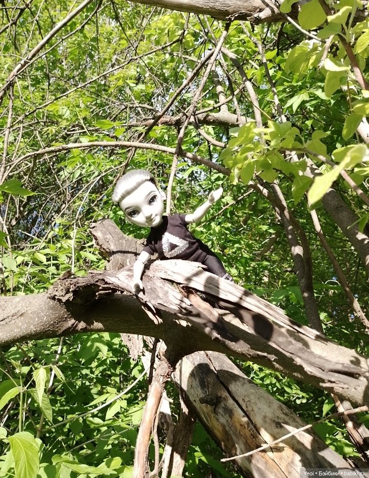 Эш Сильверстоун, Шедоу Хай (MGA , Shadow High) на прогулке)