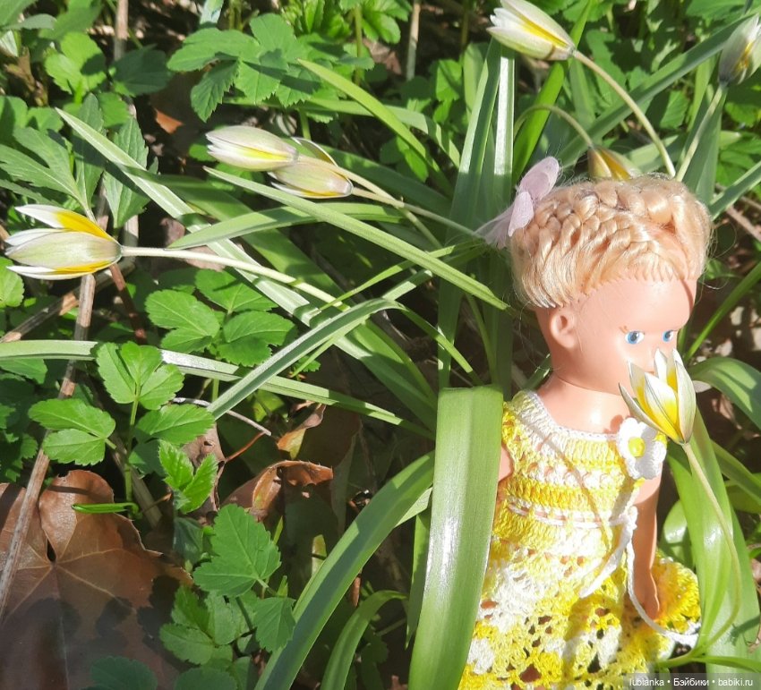 Открытие дачного сезона — Винтажные куклы ГДР (Немки): Бигги