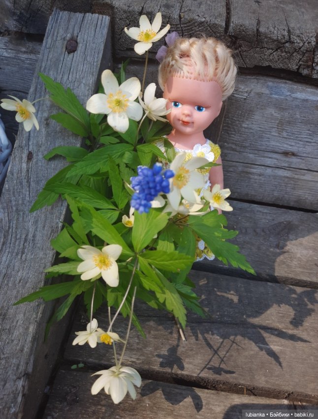 Открытие дачного сезона — Винтажные куклы ГДР (Немки): Бигги