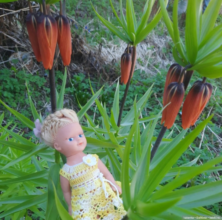 Открытие дачного сезона — Винтажные куклы ГДР (Немки): Бигги