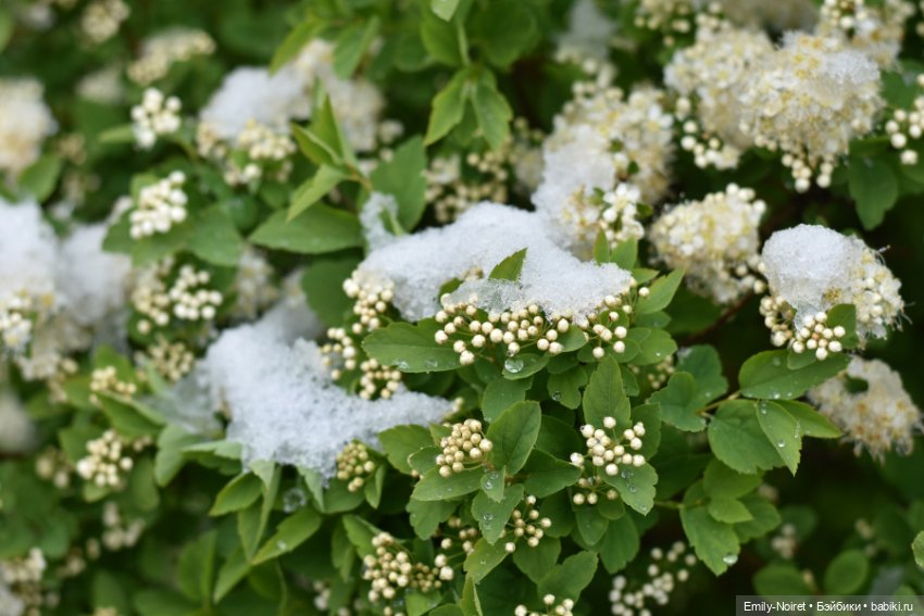 А у нас выпал снег — ООАК и репейнт игровых кукол: Bratz