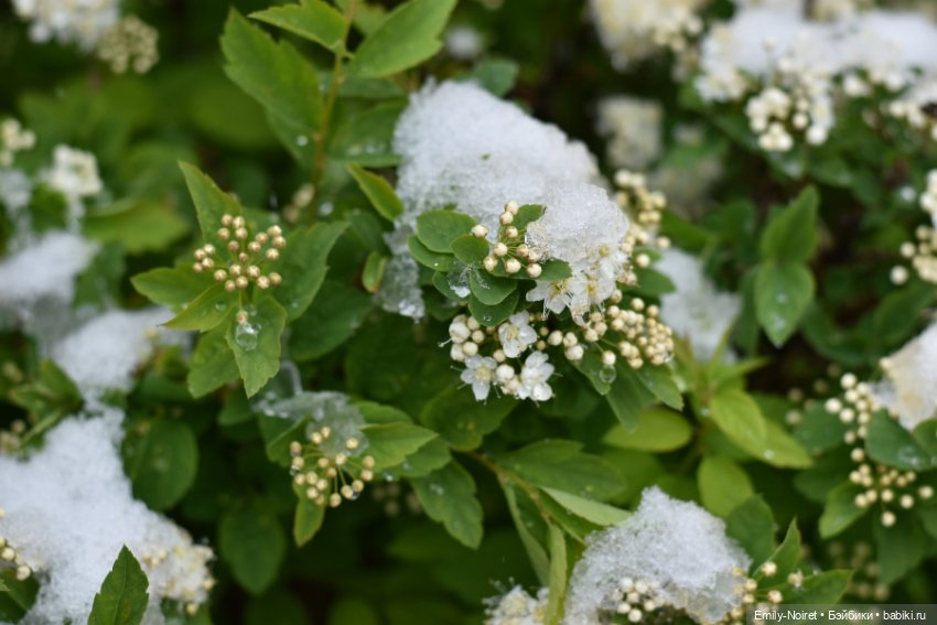 А у нас выпал снег — ООАК и репейнт игровых кукол: Bratz (фото 7)