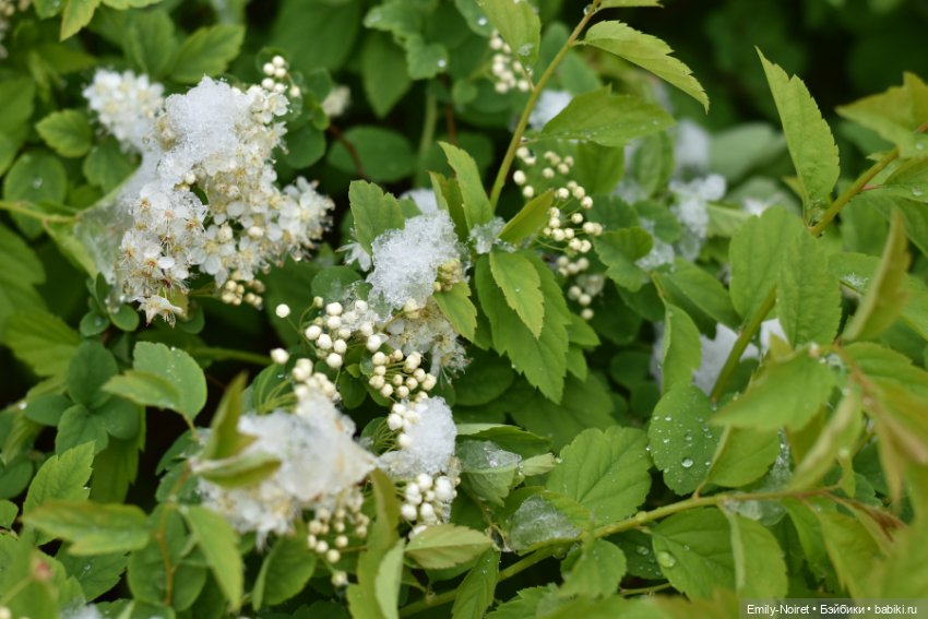 А у нас выпал снег — ООАК и репейнт игровых кукол: Bratz (фото 4)