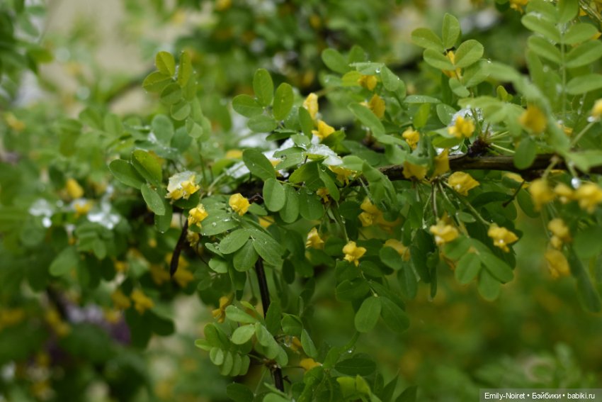 А у нас выпал снег — ООАК и репейнт игровых кукол: Bratz