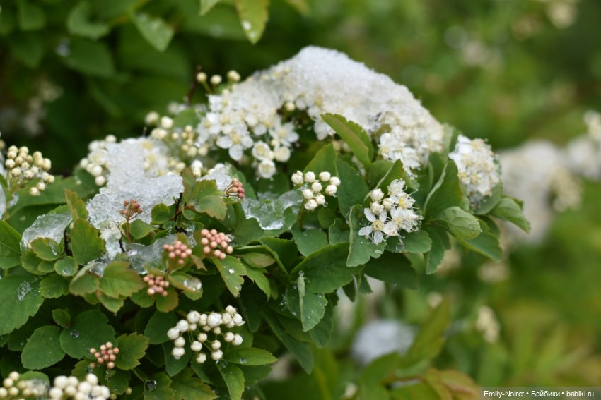 А у нас выпал снег — ООАК и репейнт игровых кукол: Bratz (фото 6)