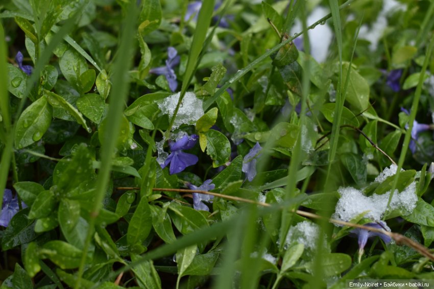 А у нас выпал снег — ООАК и репейнт игровых кукол: Bratz (фото 5)