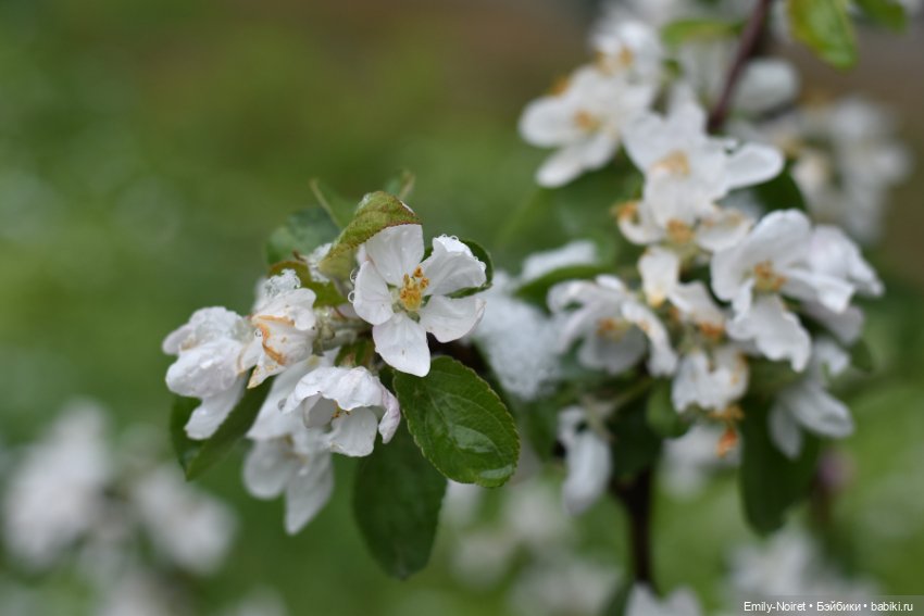 А у нас выпал снег — ООАК и репейнт игровых кукол: Bratz