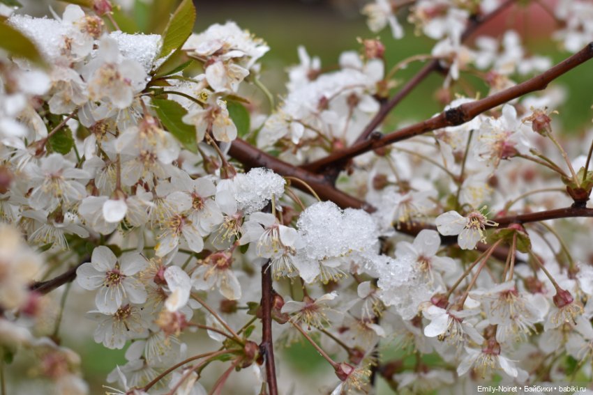 А у нас выпал снег — ООАК и репейнт игровых кукол: Bratz (фото 8)