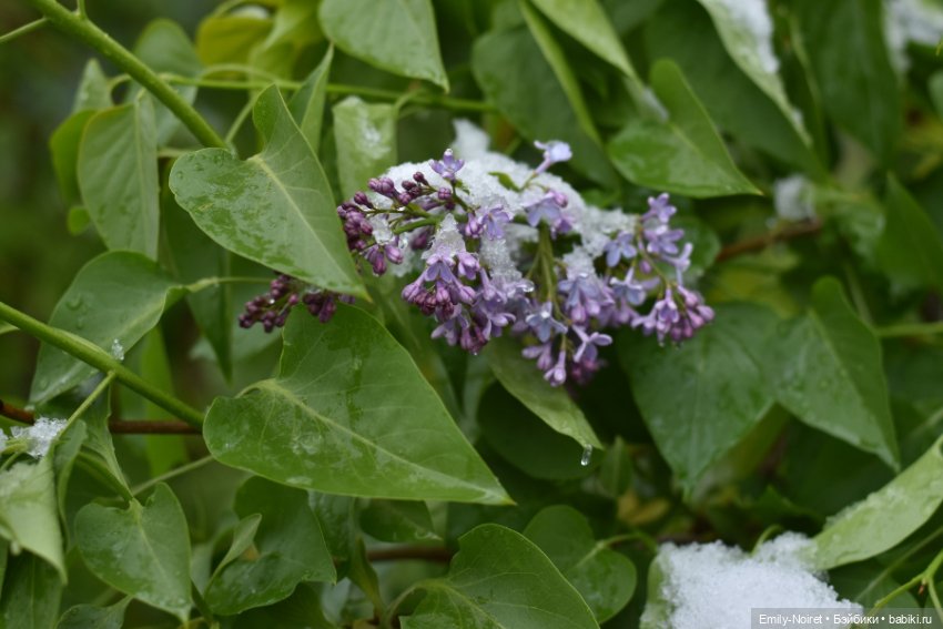 А у нас выпал снег — ООАК и репейнт игровых кукол: Bratz (фото 10)