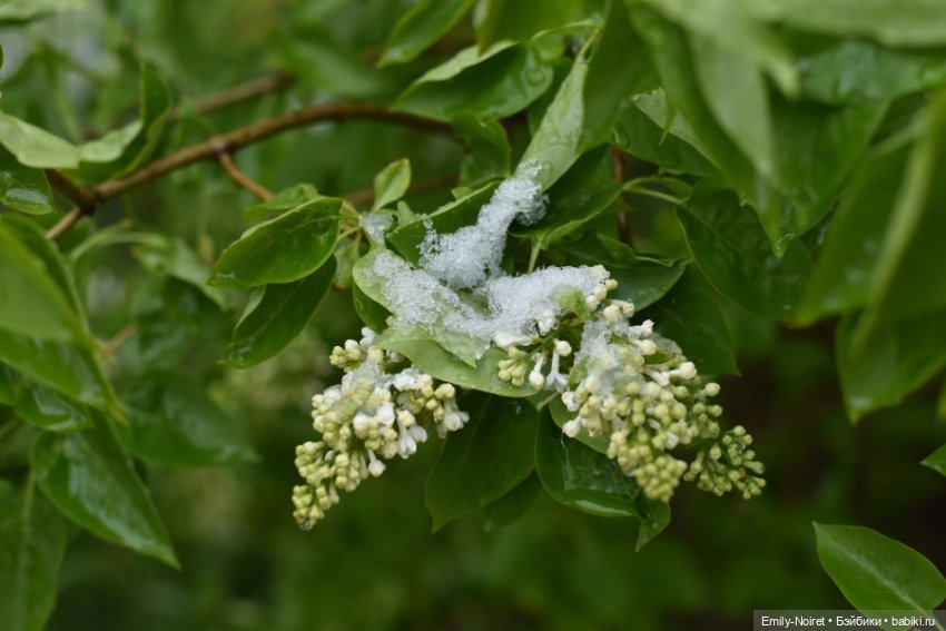 А у нас выпал снег — ООАК и репейнт игровых кукол: Bratz