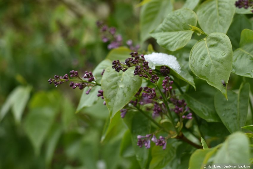 А у нас выпал снег — ООАК и репейнт игровых кукол: Bratz (фото 9)