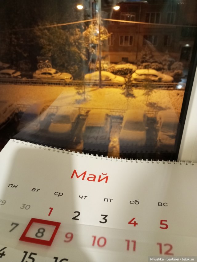 Майский снегопад — Кот Басик