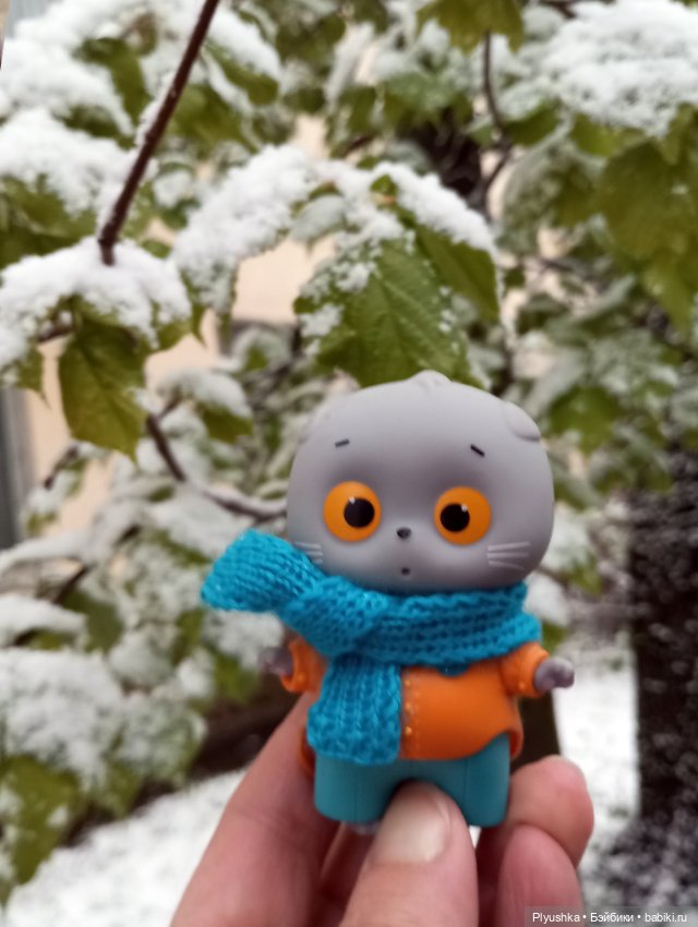 Майский снегопад — Кот Басик (фото 10)