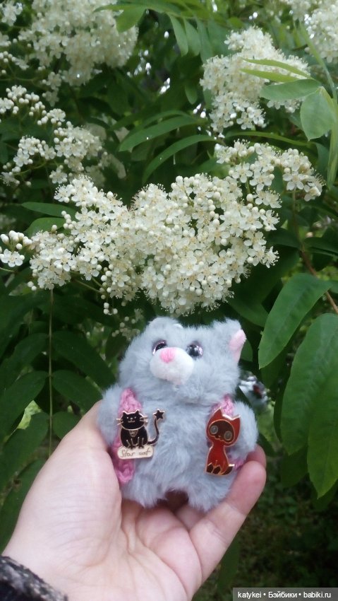 Всё цветёт. Пушин и Ко. 9 мая