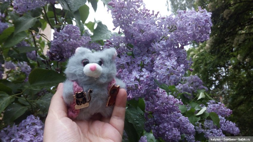 Всё цветёт. Пушин и Ко. 9 мая