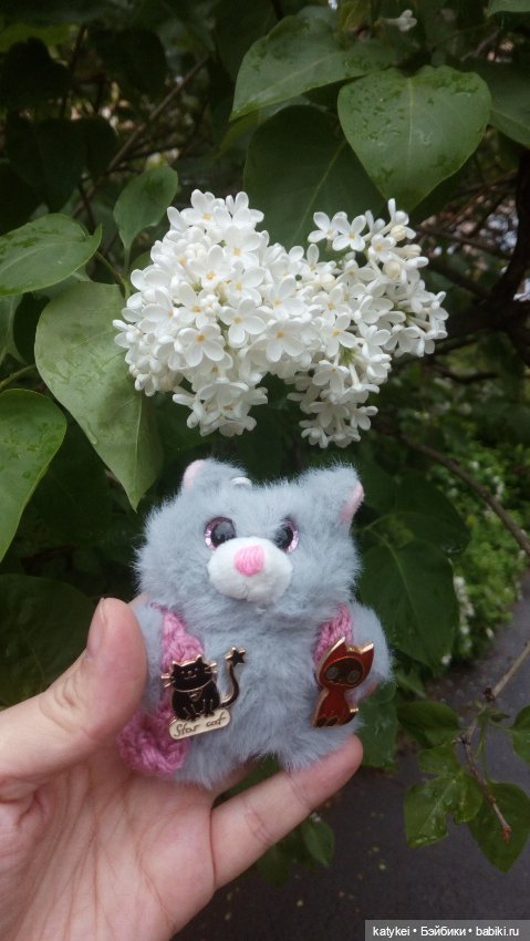 Всё цветёт. Пушин и Ко. 9 мая