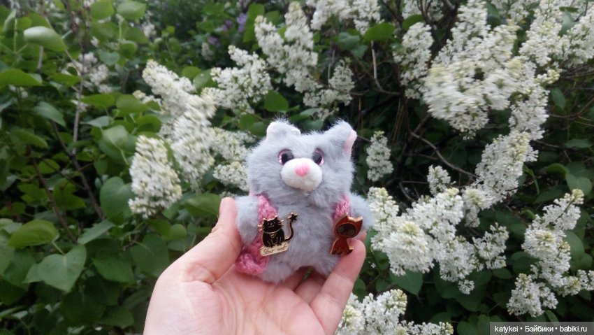 Всё цветёт. Пушин и Ко. 9 мая