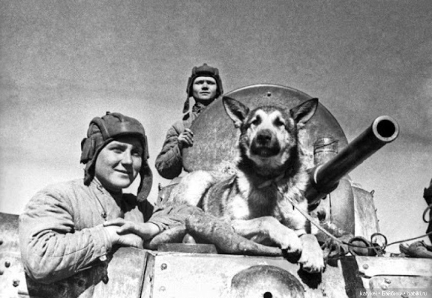 Как Шиара Юг искала — Фотоистории с куклами BJD (БЖД): сериалы (фото 3)