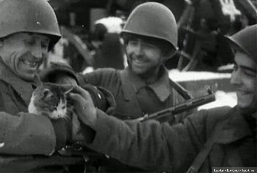 Как Шиара Юг искала — Фотоистории с куклами BJD (БЖД): сериалы (фото 2)