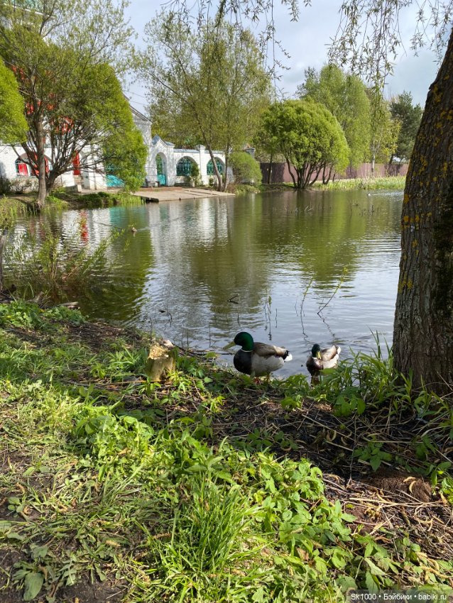 Тает вчерашний снег — Куклы Integrity Toys (Интегрити): Poppy Parker