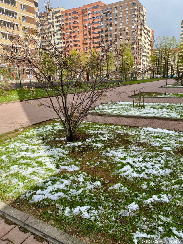 Тает вчерашний снег — Куклы Integrity Toys (Интегрити): Poppy Parker (фото 2)