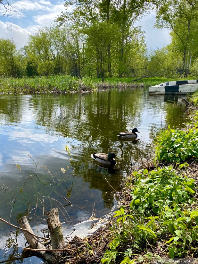 Тает вчерашний снег — Куклы Integrity Toys (Интегрити): Poppy Parker