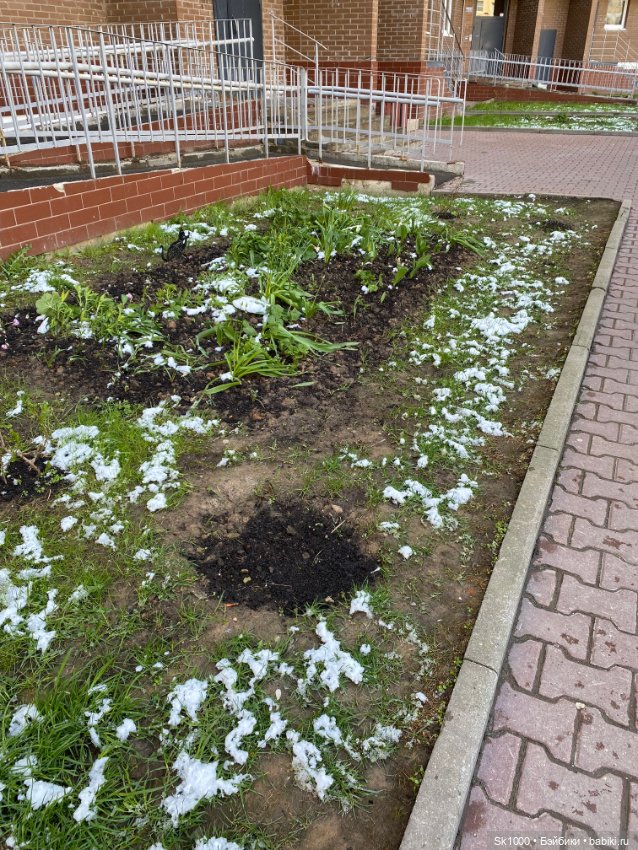 Тает вчерашний снег — Куклы Integrity Toys (Интегрити): Poppy Parker