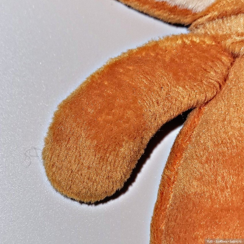 Олененок — Интересное и необычное: фотоподборки (фото 5)