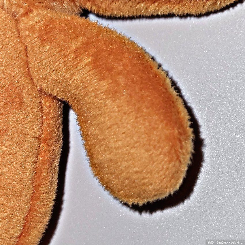 Олененок — Интересное и необычное: фотоподборки (фото 6)