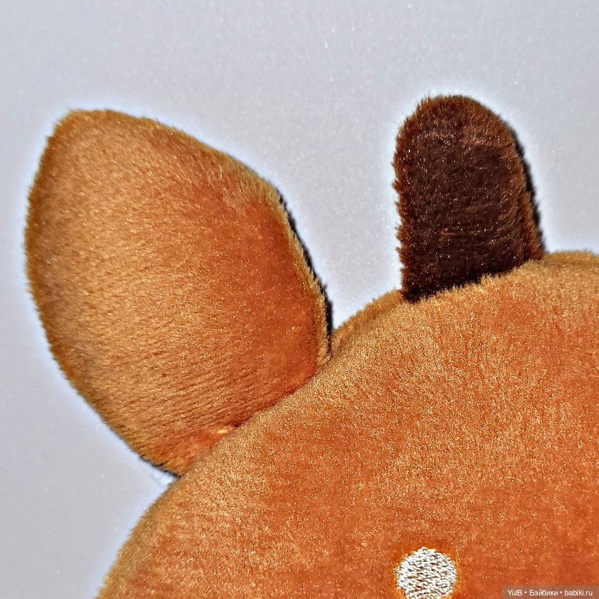 Олененок — Интересное и необычное: фотоподборки (фото 3)