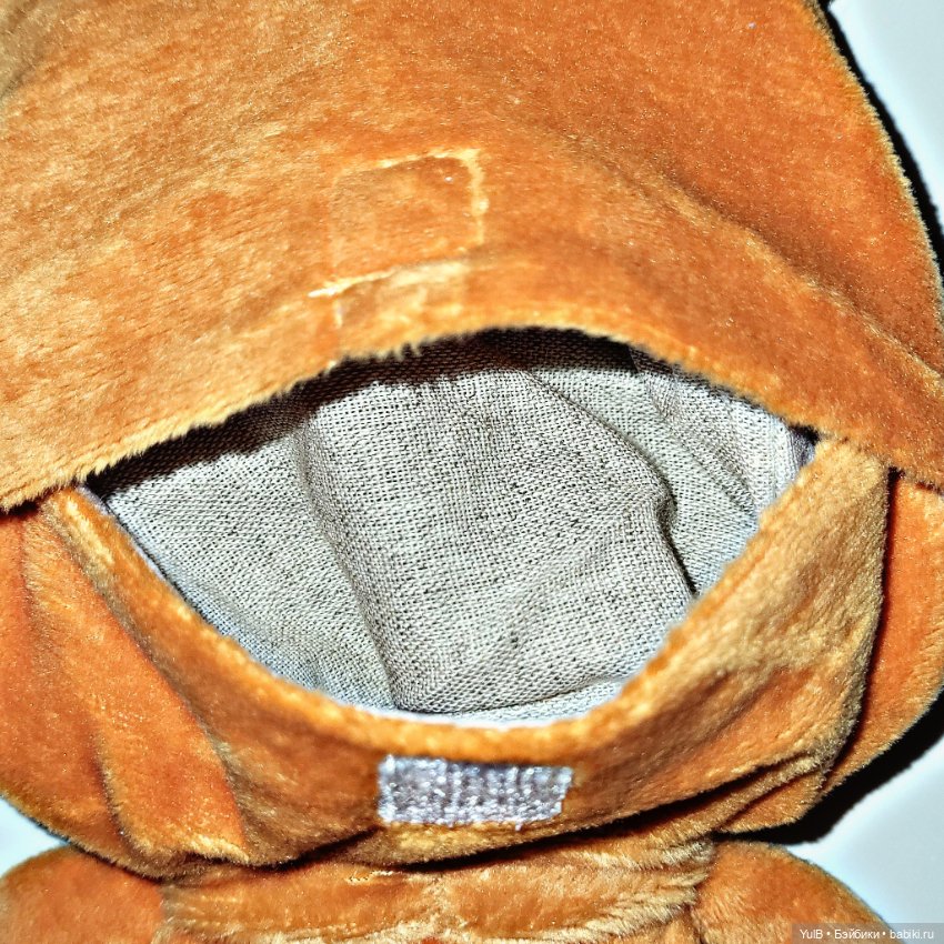 Олененок — Интересное и необычное: фотоподборки (фото 10)