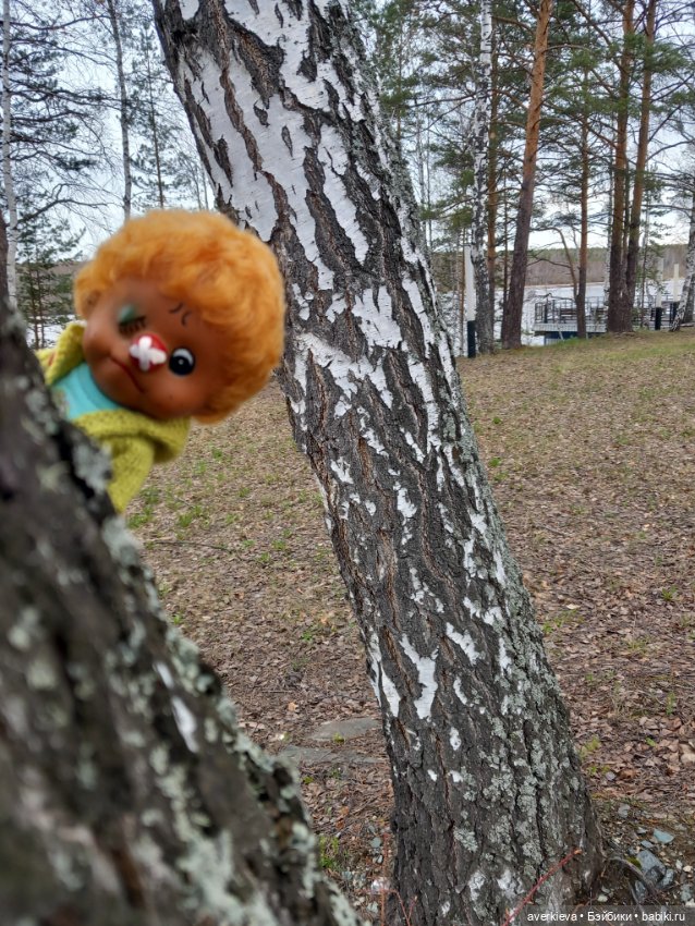 Жоржик Рыжиков в санатории (фото 10)