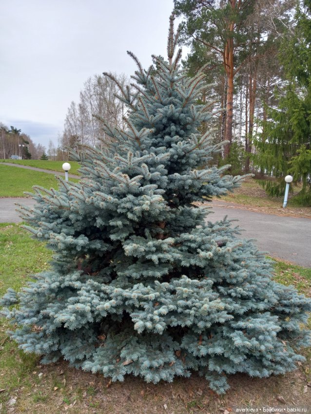 Жоржик Рыжиков в санатории (фото 7)