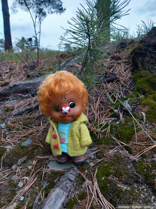 Жоржик Рыжиков в санатории (фото 9)