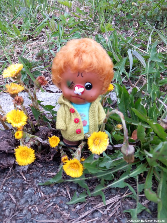 Жоржик Рыжиков в санатории