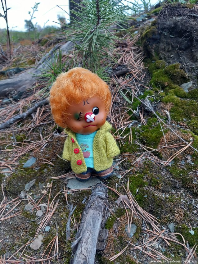 Жоржик Рыжиков в санатории (фото 8)